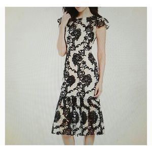 Antonio Melani Floral Lace Dress Size 10